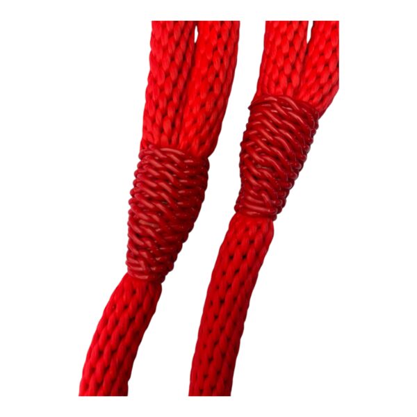 Falsas Riendas - Image 2
