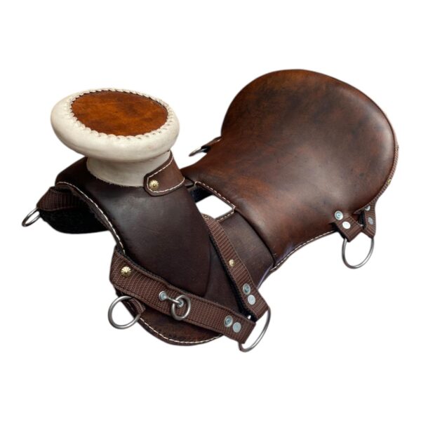 Silla Mestiza - Image 3