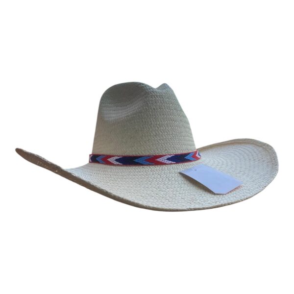Sombrero Aguadeño Alón - Image 3