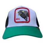 Gorra 16