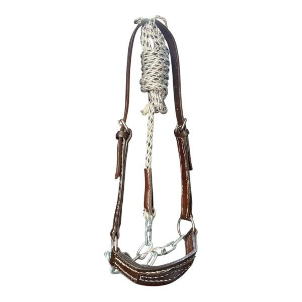 Jaquimón de Toro - Image 4