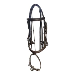 Apero de Cabeza de Salto