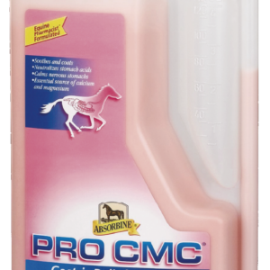 gastritis del caballo, salud digestiva del caballo, cuidado equino, bienestar equino,